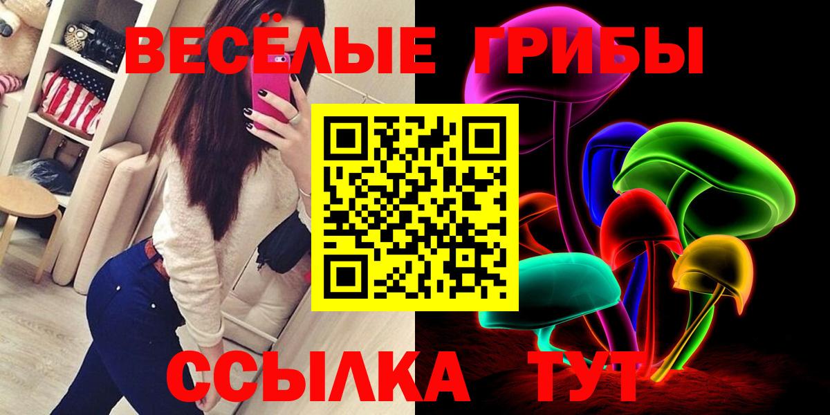 Нарткала  Галлюциногенные грибы мицелий  Вход с VPN  закладки  Псилоцибиновые грибы Psilocybe 