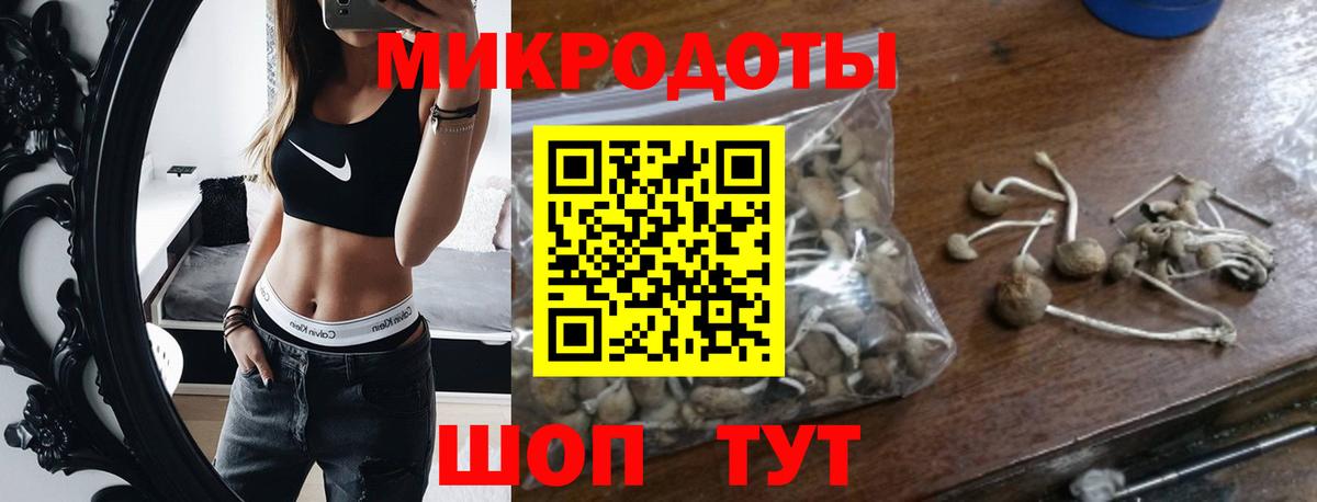 Галлюциногенные грибы Cubensis Нарткала